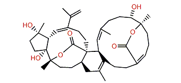 Bissubvilide B